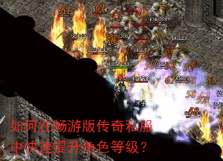 如何在畅游版传奇私服中快速提升角色等级? 如何在畅游版传奇私服中快速提升角色等级?