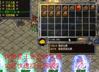 传奇星王合击长久服如何快速提升等级? 传奇星王合击长久服如何快速提升等级?