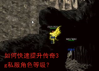 如何快速提升传奇3g私服角色等级? 如何快速提升传奇3g私服角色等级?