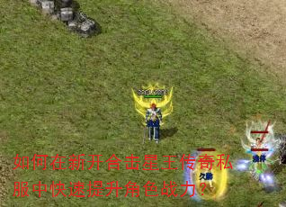 如何在新开合击星王传奇私服中快速提升角色战力? 如何在新开合击星王传奇私服中快速提升角色战力?