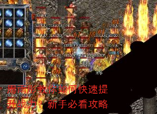 周雨彤教你如何快速提升战力?新手必看攻略 周雨彤教你如何快速提升战力?新手必看攻略