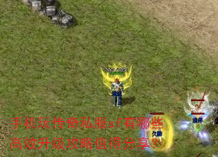 手机玩传奇私服sf有哪些高效升级攻略值得分享? 手机玩传奇私服sf有哪些高效升级攻略值得分享?