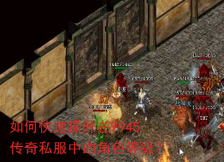 如何快速提升在9945传奇私服中的角色等级? 如何快速提升在9945传奇私服中的角色等级?