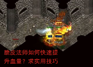 脆皮法师如何快速提升血量?求实用技巧 脆皮法师如何快速提升血量?求实用技巧