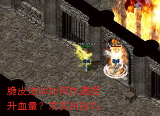 脆皮法师如何快速提升血量?求实用技巧 脆皮法师如何快速提升血量?求实用技巧