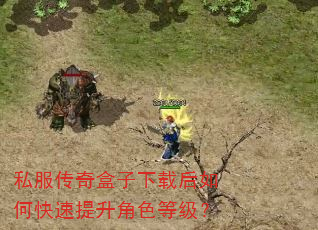 私服传奇盒子下载后如何快速提升角色等级? 私服传奇盒子下载后如何快速提升角色等级?