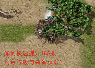 如何快速提升185服角色等级与装备获取? 如何快速提升185服角色等级与装备获取?