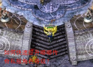 如何快速提升嘟嘟传奇私服角色等级? 如何快速提升嘟嘟传奇私服角色等级?