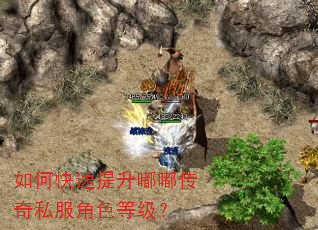 如何快速提升嘟嘟传奇私服角色等级? 如何快速提升嘟嘟传奇私服角色等级?