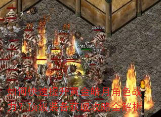 如何快速提升黄金皓月角色战力?顶级装备获取攻略全解析 如何快速提升黄金皓月角色战力?顶级装备获取攻略全解析