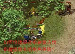 如何快速提升杀神复古传奇超变版本的角色等级? 如何快速提升杀神复古传奇超变版本的角色等级?