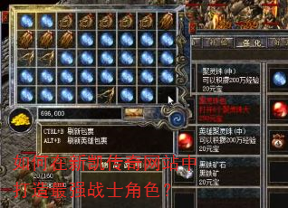 如何在新凯传奇网站中打造最强战士角色? 如何在新凯传奇网站中打造最强战士角色?