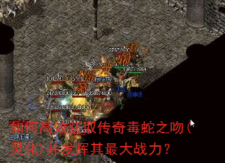 如何高效获取传奇毒蛇之吻(灵化)并发挥其最大战力? 如何高效获取传奇毒蛇之吻(灵化)并发挥其最大战力?