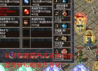 如何快速提升斗破苍穹热血传奇私服角色等级? 如何快速提升斗破苍穹热血传奇私服角色等级?