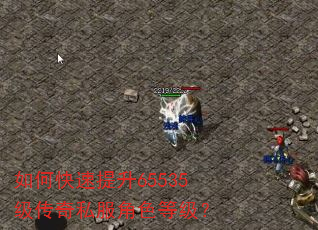 如何快速提升65535级传奇私服角色等级? 如何快速提升65535级传奇私服角色等级?