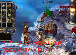 如何快速提升传奇私服角色等级?有哪些实用技巧? 如何快速提升传奇私服角色等级?有哪些实用技巧?
