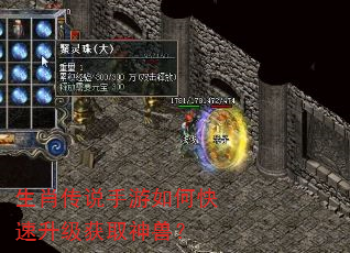 生肖传说手游如何快速升级获取神兽? 生肖传说手游如何快速升级获取神兽?