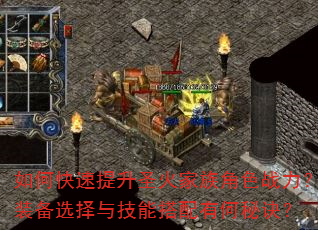 如何快速提升圣火家族角色战力?装备选择与技能搭配有何秘诀? 如何快速提升圣火家族角色战力?装备选择与技能搭配有何秘诀?