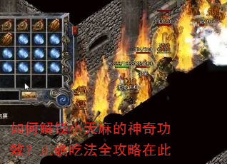 如何解锁小天麻的神奇功效?正确吃法全攻略在此 如何解锁小天麻的神奇功效?正确吃法全攻略在此