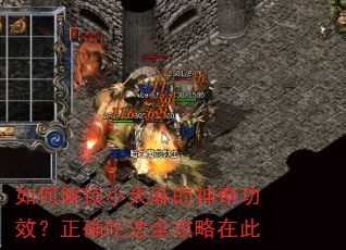 如何解锁小天麻的神奇功效?正确吃法全攻略在此 如何解锁小天麻的神奇功效?正确吃法全攻略在此