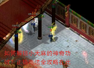如何解锁小天麻的神奇功效?正确吃法全攻略在此 如何解锁小天麻的神奇功效?正确吃法全攻略在此