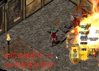 如何快速提升1.80合击服角色等级? 如何快速提升1.80合击服角色等级?