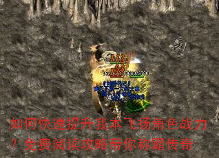如何快速提升我本飞扬角色战力?免费阅读攻略带你称霸传奇 如何快速提升我本飞扬角色战力?免费阅读攻略带你称霸传奇
