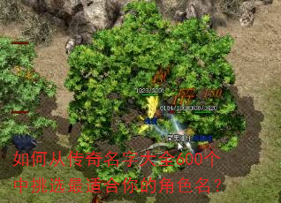 ��δӴ������ִ�ȫ600������ѡ���ʺ���Ľ�ɫ����