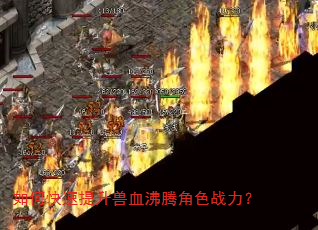 如何快速提升兽血沸腾角色战力? 如何快速提升兽血沸腾角色战力?
