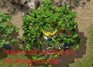 黑暗光年单职业传奇版各大BOSS刷新坐标全知道? 黑暗光年单职业传奇版各大BOSS刷新坐标全知道?