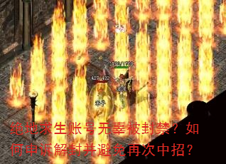 ���������˺��޹��������������߽�Ⲣ�����ٴ����У�