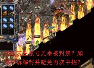 ���������˺��޹��������������߽�Ⲣ�����ٴ����У�