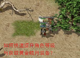 如何快速提升角色等级与获取黄金皓月装备? 如何快速提升角色等级与获取黄金皓月装备?