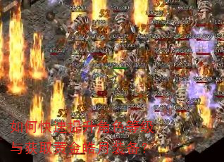 如何快速提升角色等级与获取黄金皓月装备? 如何快速提升角色等级与获取黄金皓月装备?