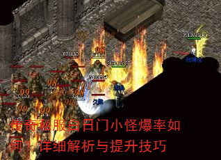 传奇私服白日门小怪爆率如何?详细解析与提升技巧 传奇私服白日门小怪爆率如何?详细解析与提升技巧