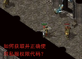 如何获取并正确使用私服权限代码? 如何获取并正确使用私服权限代码?