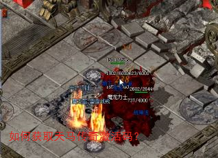 如何获取天马传奇激活码? 如何获取天马传奇激活码?