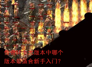 传奇SF十大版本中哪个版本最适合新手入门? 传奇SF十大版本中哪个版本最适合新手入门?